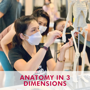 Anatomy in 3 Dimensions (Sep 2023)