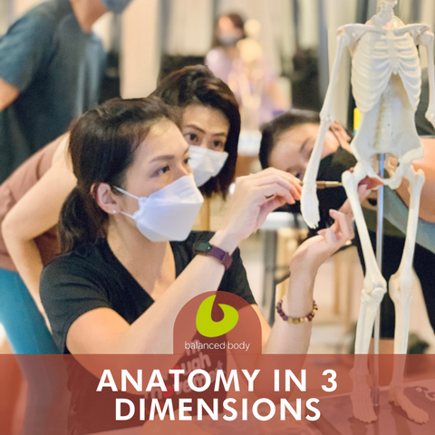 Anatomy in 3 Dimensions (Sep 2024)