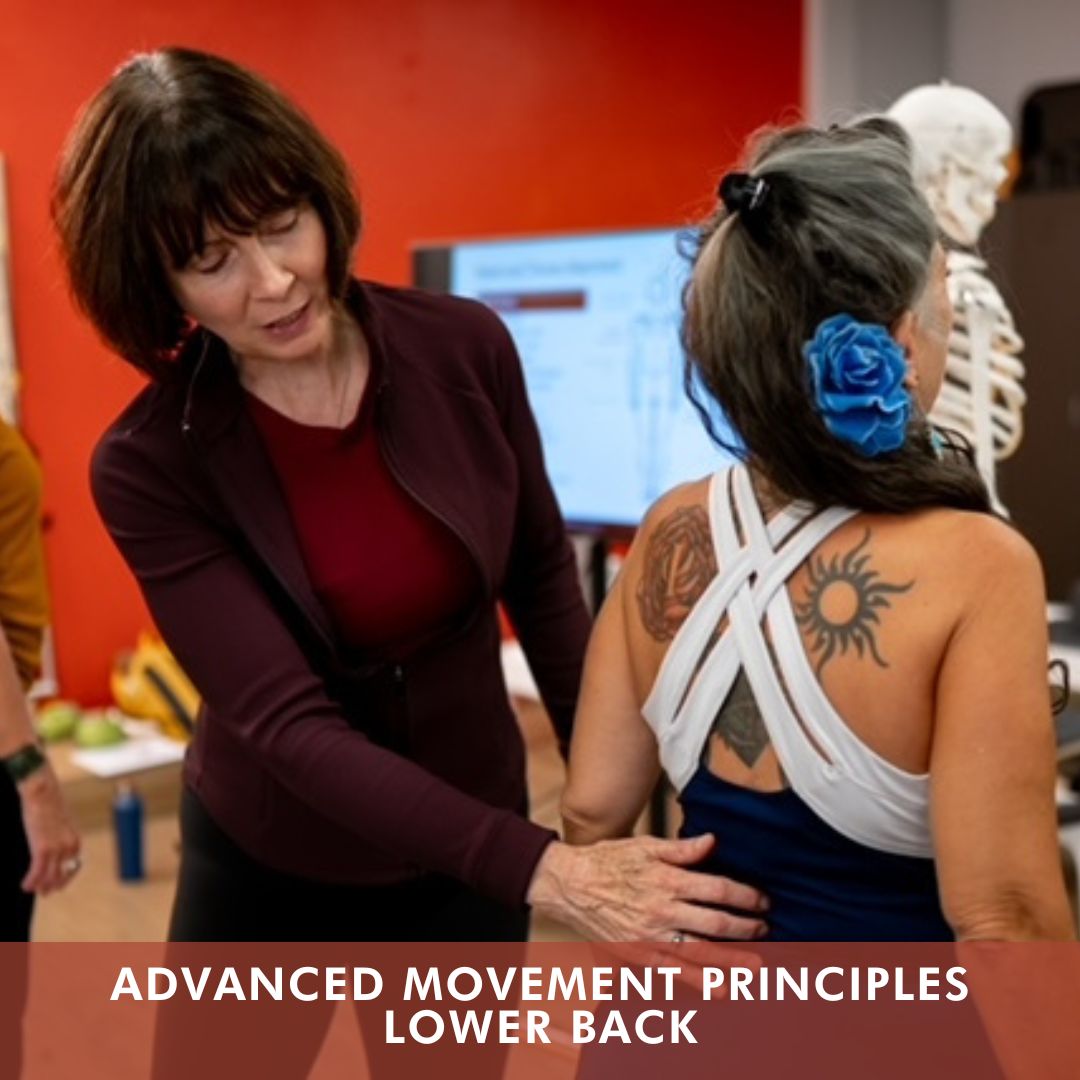 Advanced Movement Principles - Lower Back (Nov 2025)