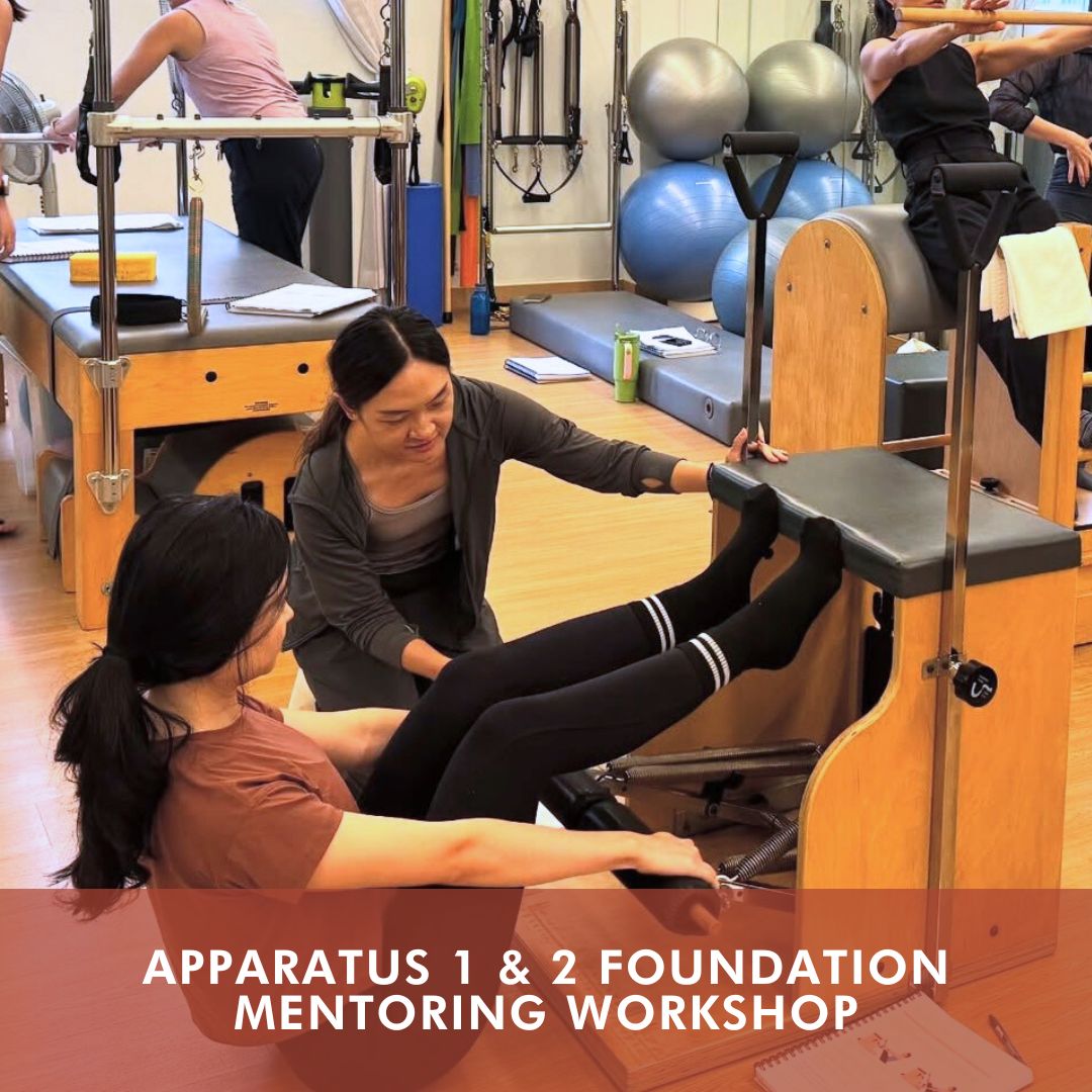 Apparatus 1 & 2 Foundation Mentoring Workshop (Feb 2026)