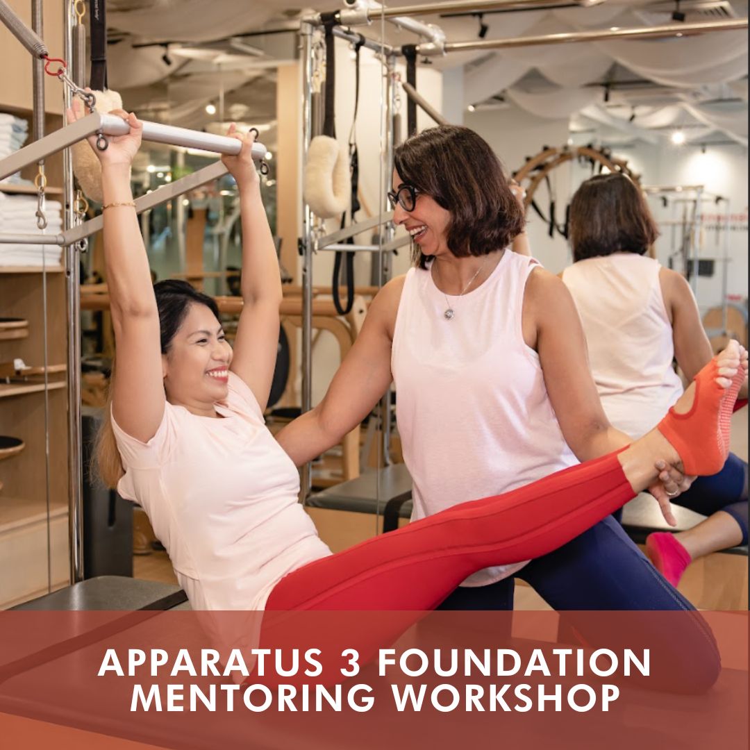 Apparatus 3 Foundation Mentoring Workshop (March 2025)