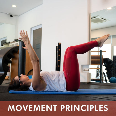 Movement Principles (Jan 2025)