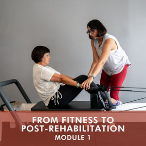 From Fitness to Post-Rehabilitation Module 1 (Aug 2024)